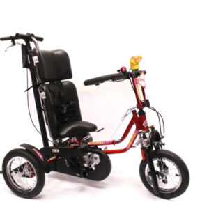 DCP Mini Tricycle