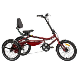 Azteca Tricycle
