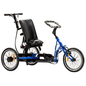 T-250 Tricycle